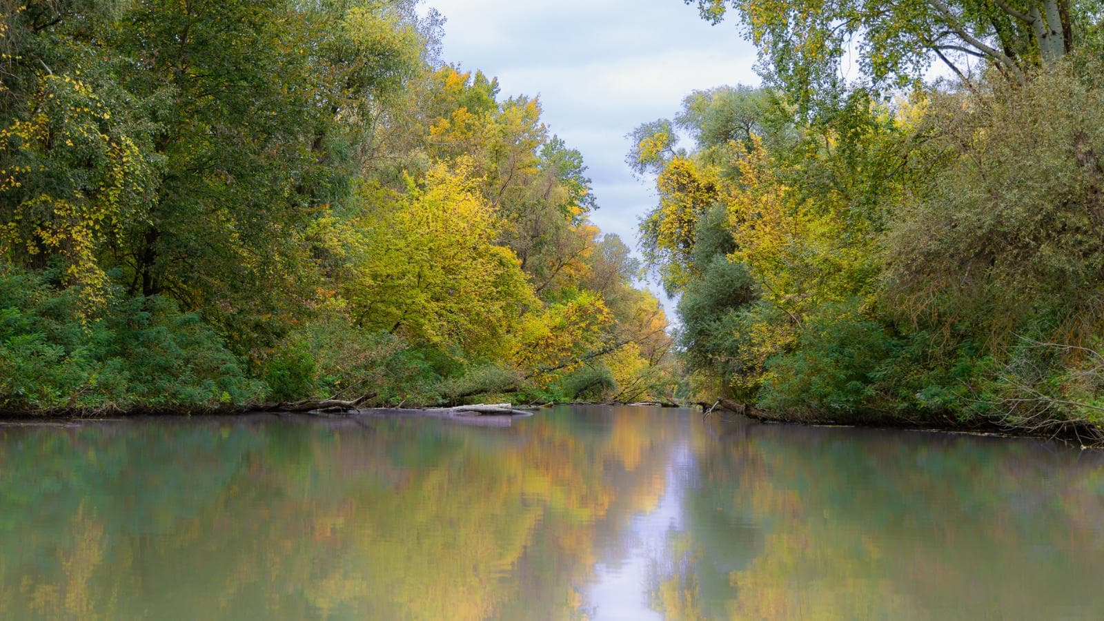 Csatorna a Tisza-tón