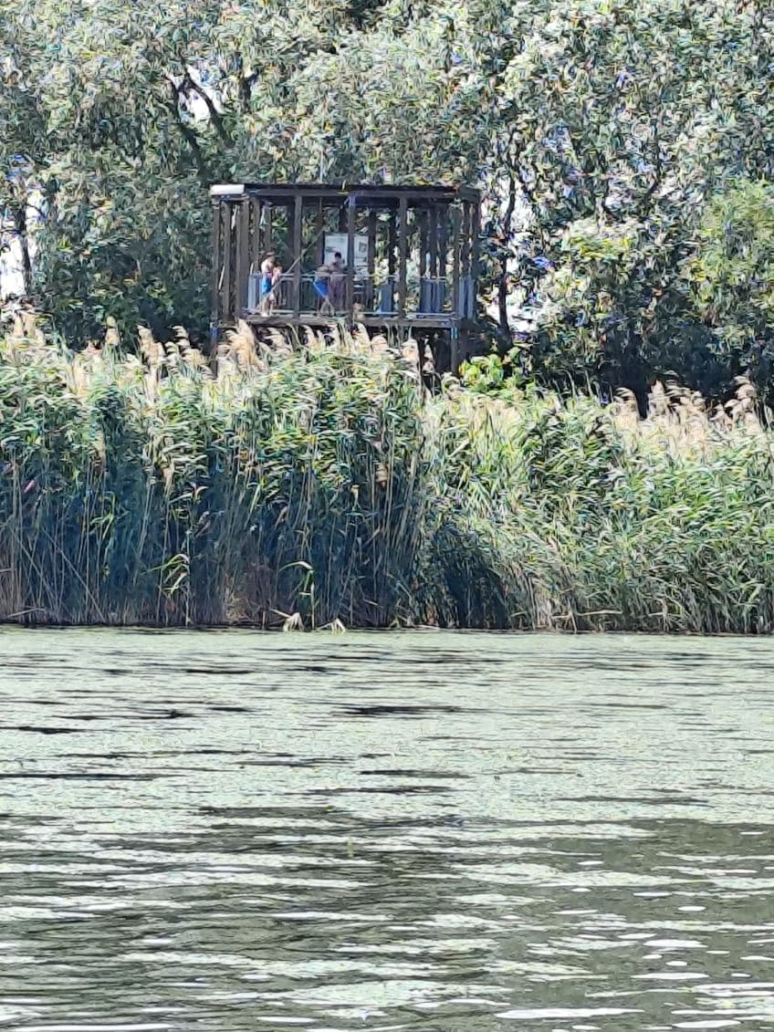 Fattyúszerkő kilátótorony a Tisza-tavon