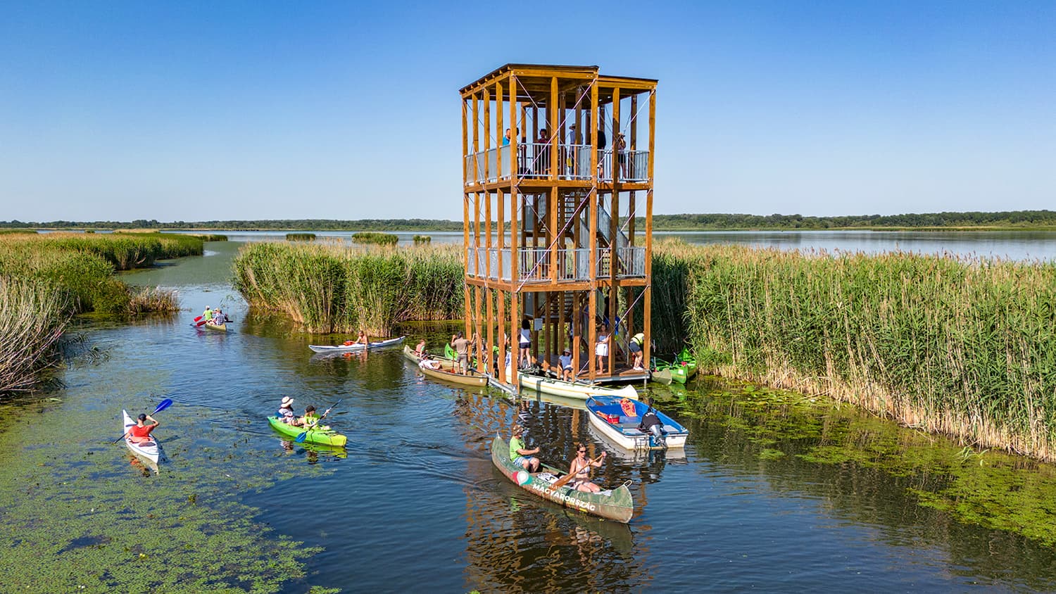 Küszvágó csér kilátó a Tisza-tavon