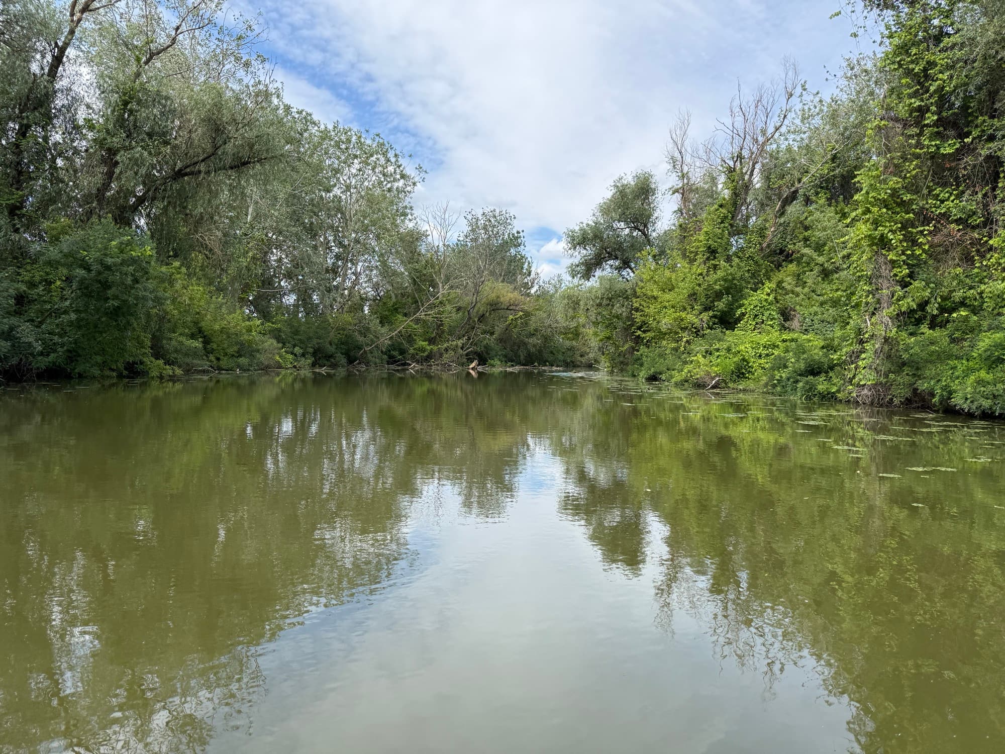 Táj a Tisza-tavon
