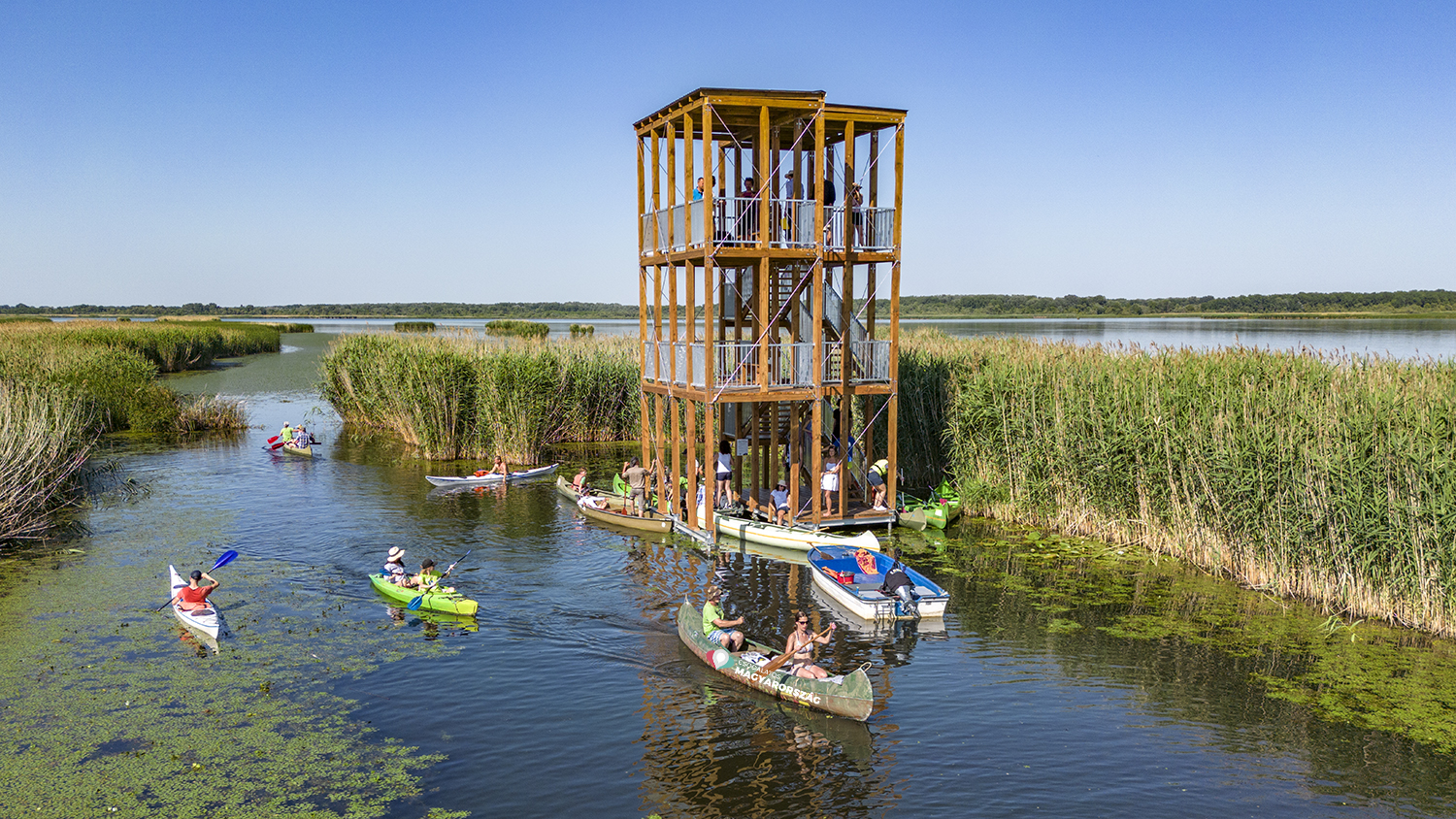 Küszvágó csér kilátó a Tisza-tavon
