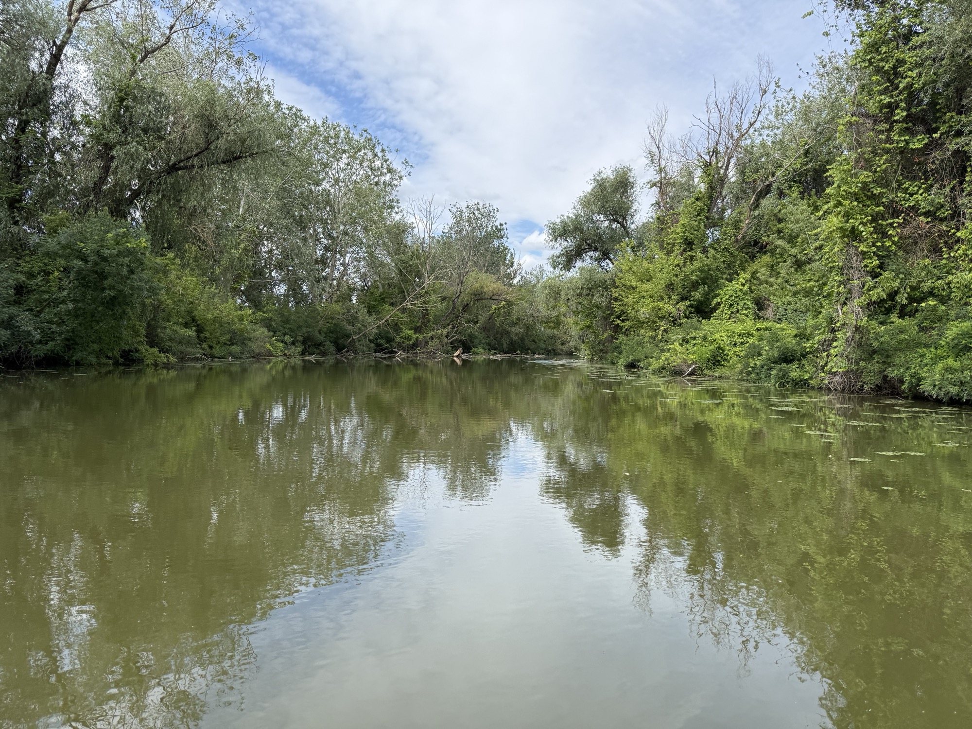 Táj a Tisza-tavon